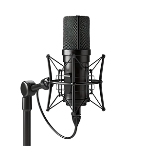 Microphones & Audio