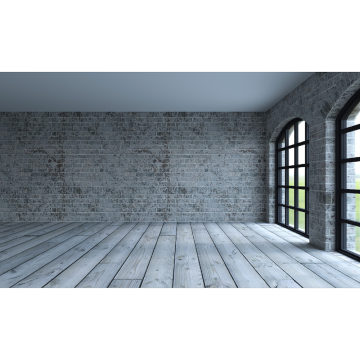 StudioKing Background Cloth RLW1 5x3m with Print